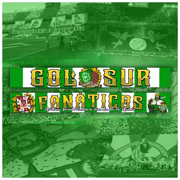 Carnet Afiliado Gol Sur 1907 - Temporada 2025/2026 - Imagen 3