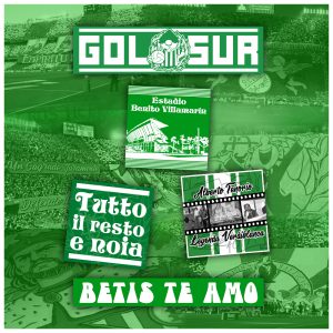 Pack de 16 pegatinas Gol Sur 1907